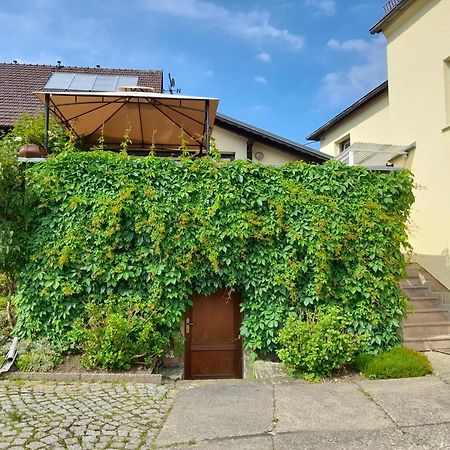 Ferienwohnung Wolfsbergblick Reinhardtsdorf-Schona Exterior foto