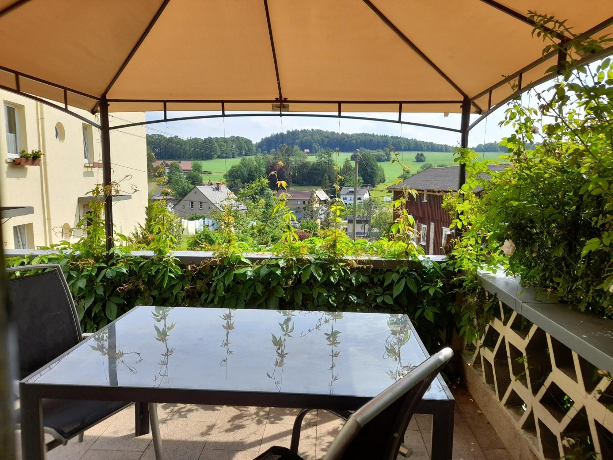 Ferienwohnung Wolfsbergblick Reinhardtsdorf-Schona Exterior foto